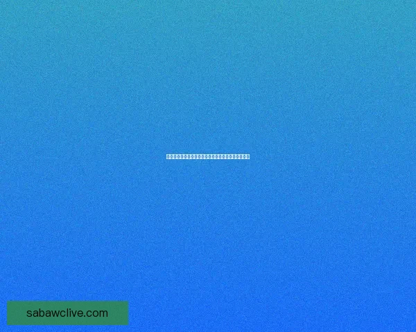 沙巴体育世界杯精彩赛事回顾与球迷狂欢盛况解析